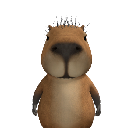 Noehmi683 Roblox avatar torso