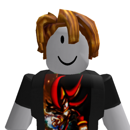 12345543210027 Roblox avatar torso