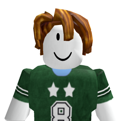 als123D3 Roblox avatar torso
