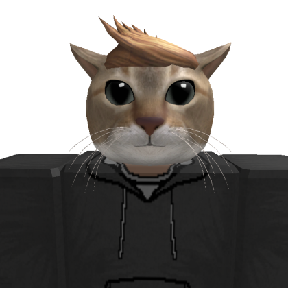 Icoty