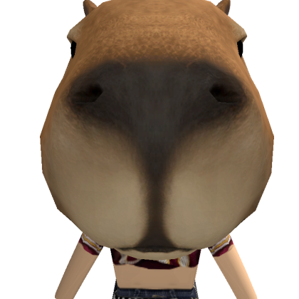 user_10412228011 Roblox avatar torso