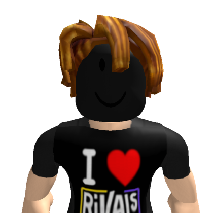 RULES678_5 Roblox avatar torso