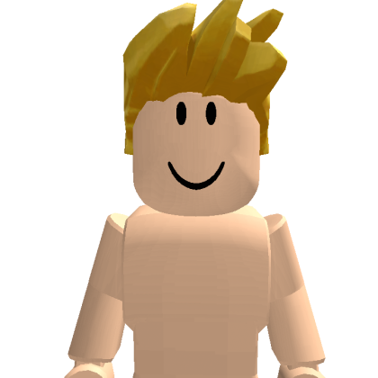 novita_ty Roblox avatar torso