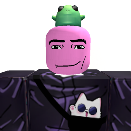 benicio320hj Roblox avatar torso