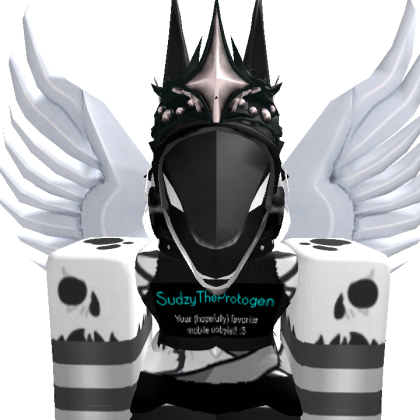 Sudzyboi Roblox avatar torso