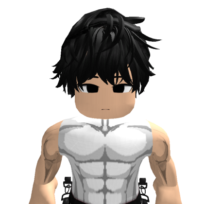 vigilanc73 Roblox avatar torso