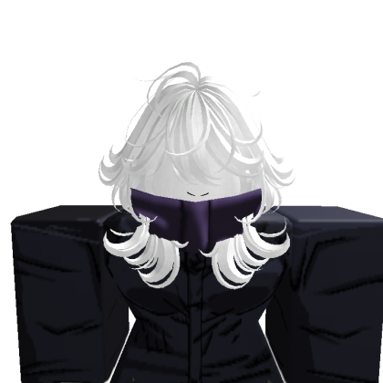 bunyface2020 Roblox avatar torso