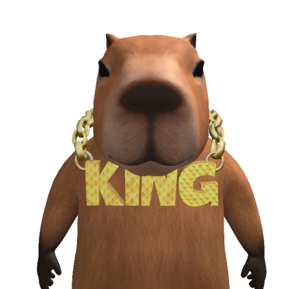 dragon_flaming2 Roblox avatar torso