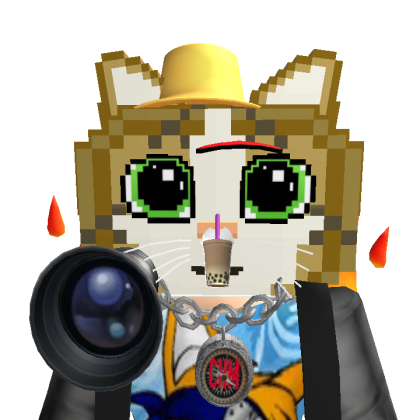 philipsavi15 Roblox avatar torso