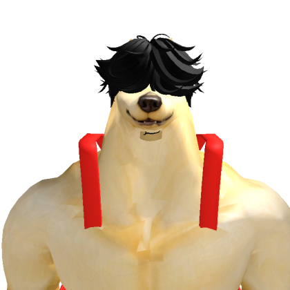 Gavizin52 Roblox avatar torso