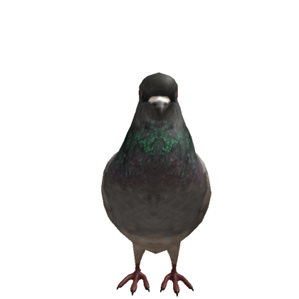 opduckyz Roblox avatar torso