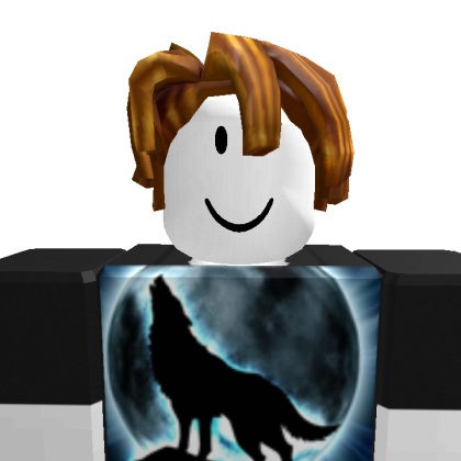 newton12446 Roblox avatar torso