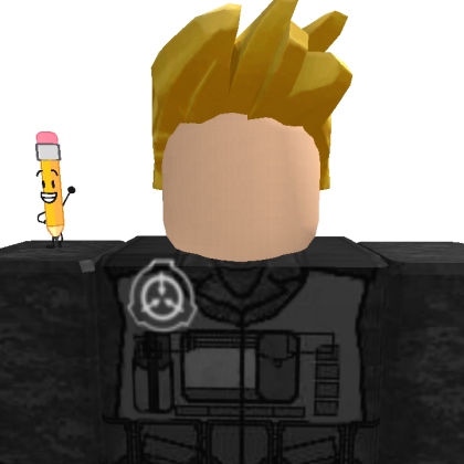 Higajinh Roblox avatar torso