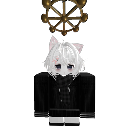 Txcxty1 Roblox avatar torso