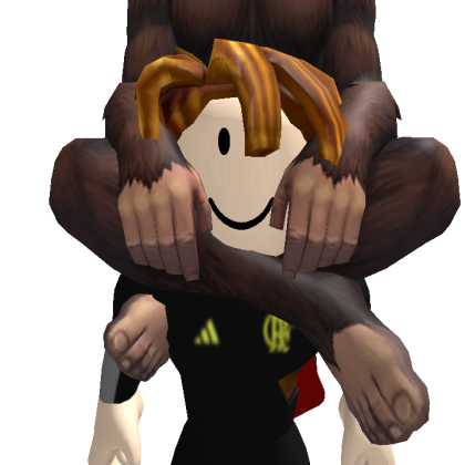 vivi_ands Roblox avatar torso