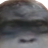 trisdeninja