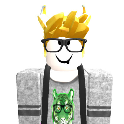 Heybrin220 Roblox avatar torso