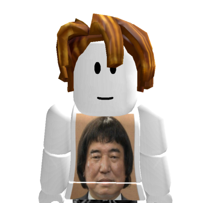 rara_56034 Roblox avatar torso