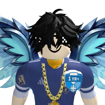 MR_BEAST9025 Roblox avatar torso