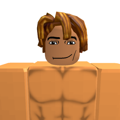 user_7757737848 Roblox avatar torso