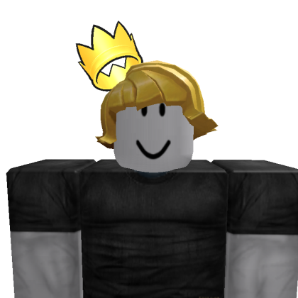 Hslwvsus Roblox avatar torso