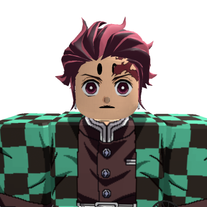 Blan6569AAR1 Roblox avatar torso