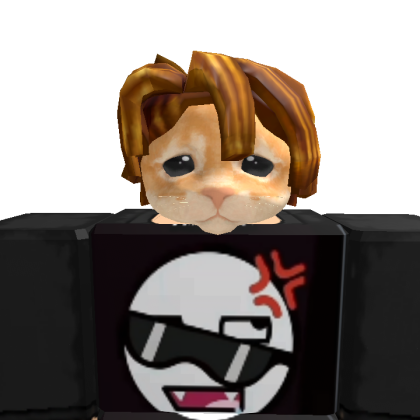 user_4339905089 Roblox avatar torso