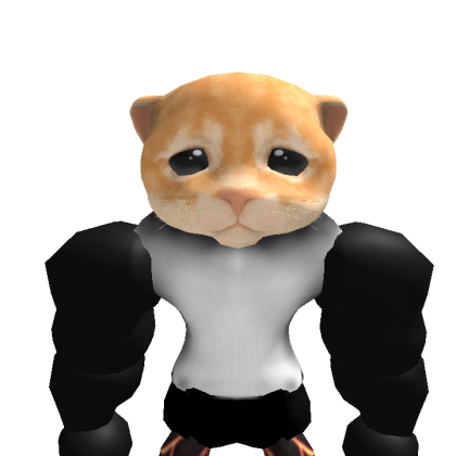 Tridz2006 Roblox avatar torso