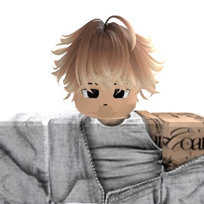 dkddk7030 Roblox avatar torso