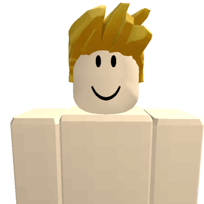 Lpi2345 Roblox avatar torso