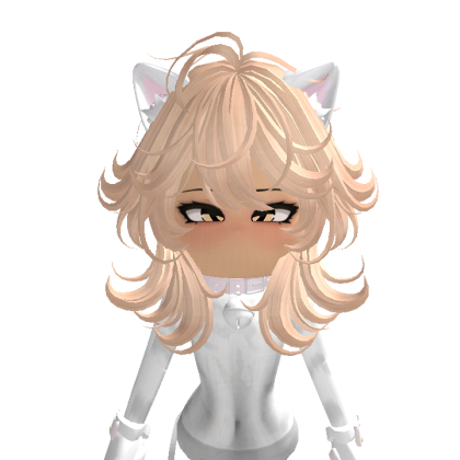BriBaby213 Roblox avatar torso