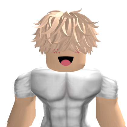 Williamson252 Roblox avatar torso