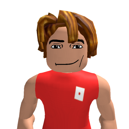 willhian3 Roblox avatar torso