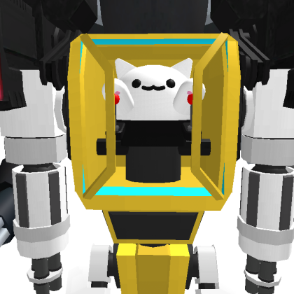 Captainflashrider5 Roblox avatar torso