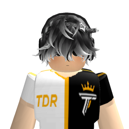 renatoguinho21 Roblox avatar torso
