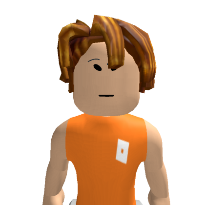 agno3424 Roblox avatar torso