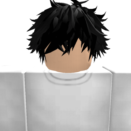 axelin132013 Roblox avatar torso