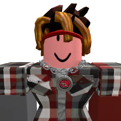 Holis_1469 Roblox avatar torso