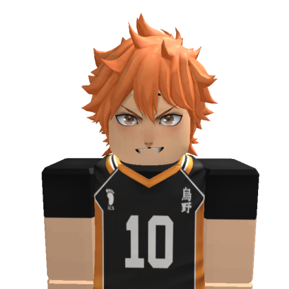 j_haven09 Roblox avatar torso