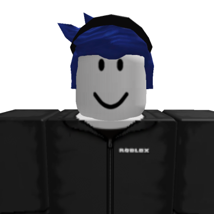 hgs4441 Roblox avatar torso