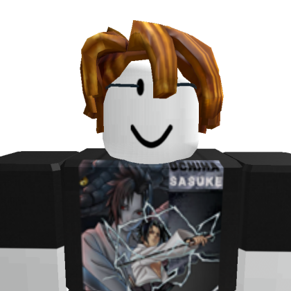 435h543 Roblox avatar torso