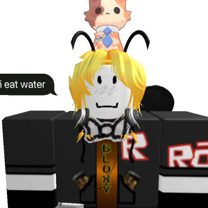 AmeliethePenguin Roblox avatar torso