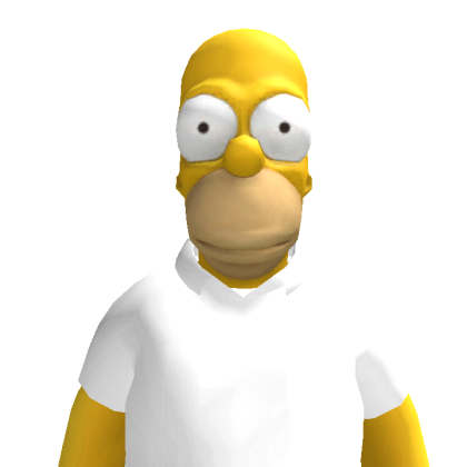 user_8804999993 Roblox avatar torso