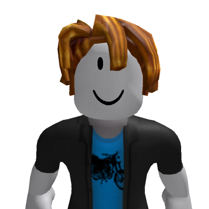 TK050905 Roblox avatar torso