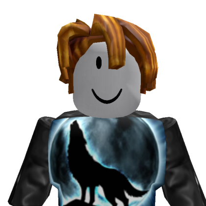 CaydenLou0411 Roblox avatar torso