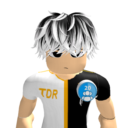 lucas_01023467 Roblox avatar torso