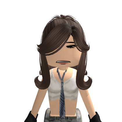 Cats24724 Roblox avatar torso