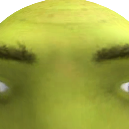 coolangotkeldy Roblox avatar torso