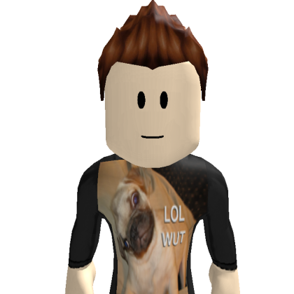 user_8633441189 Roblox avatar torso