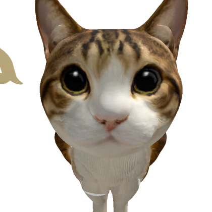 vikavikmeow Roblox avatar torso